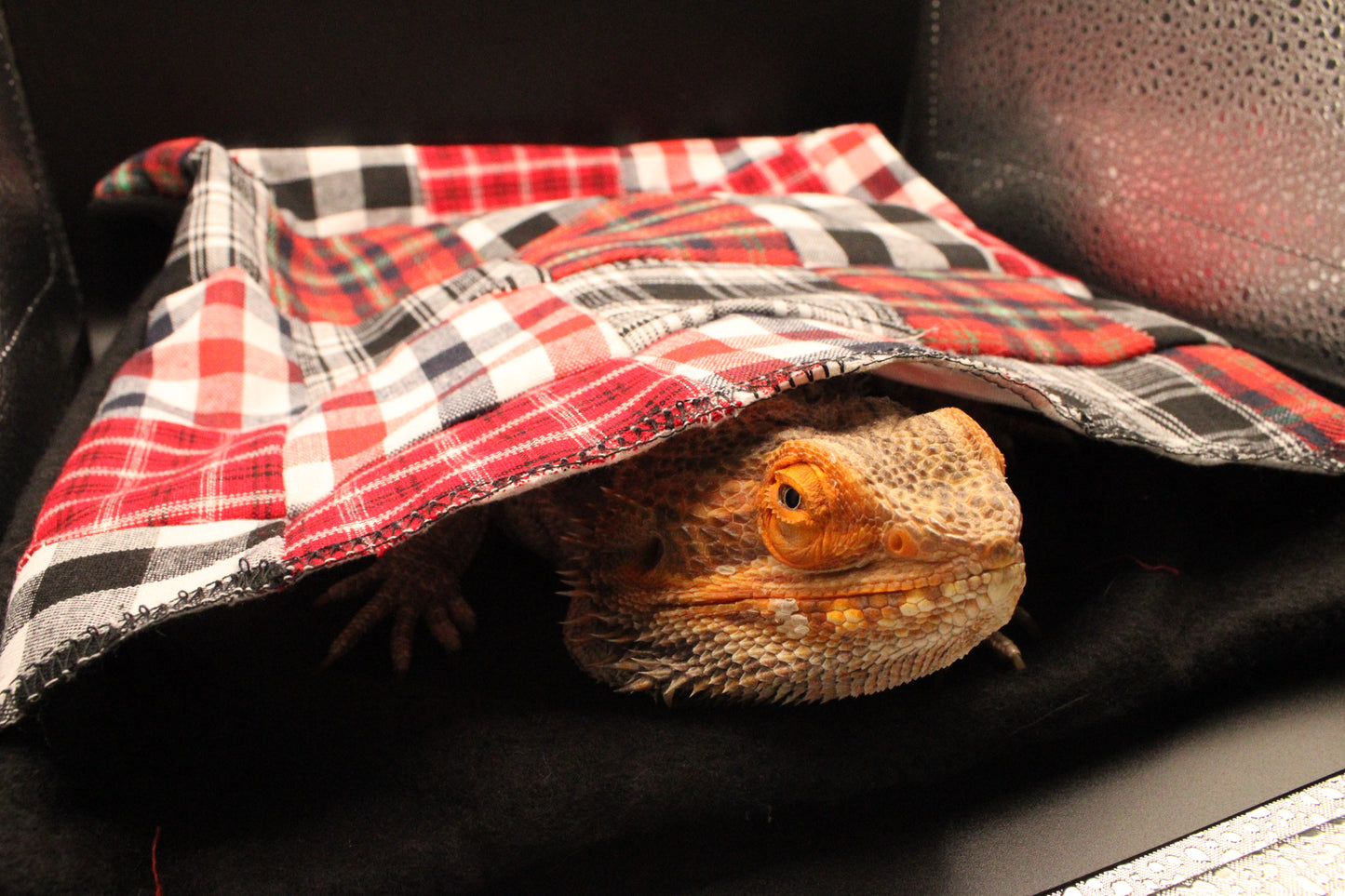 š Dragonās Choice Custom Snuggle Cove