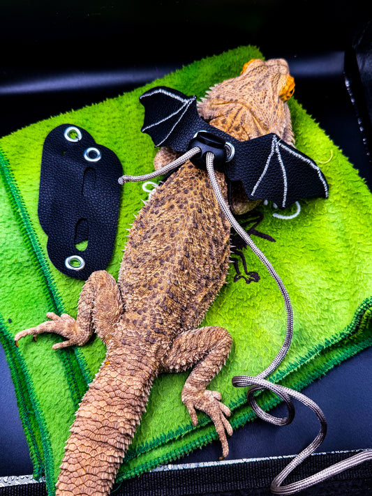 Flight Harness: Adjustable Reptile Harness Set