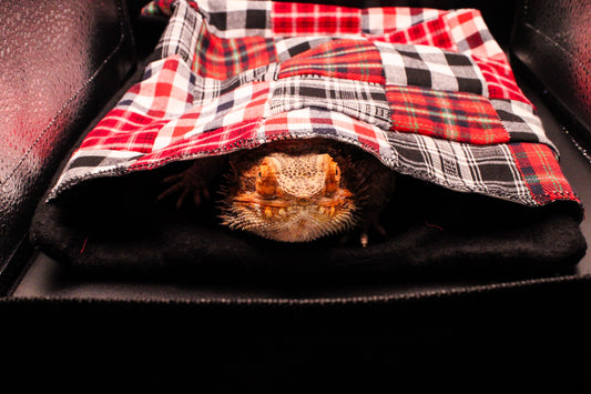 Cuddle Cove - Cozy Hideaway for Scaly Friends