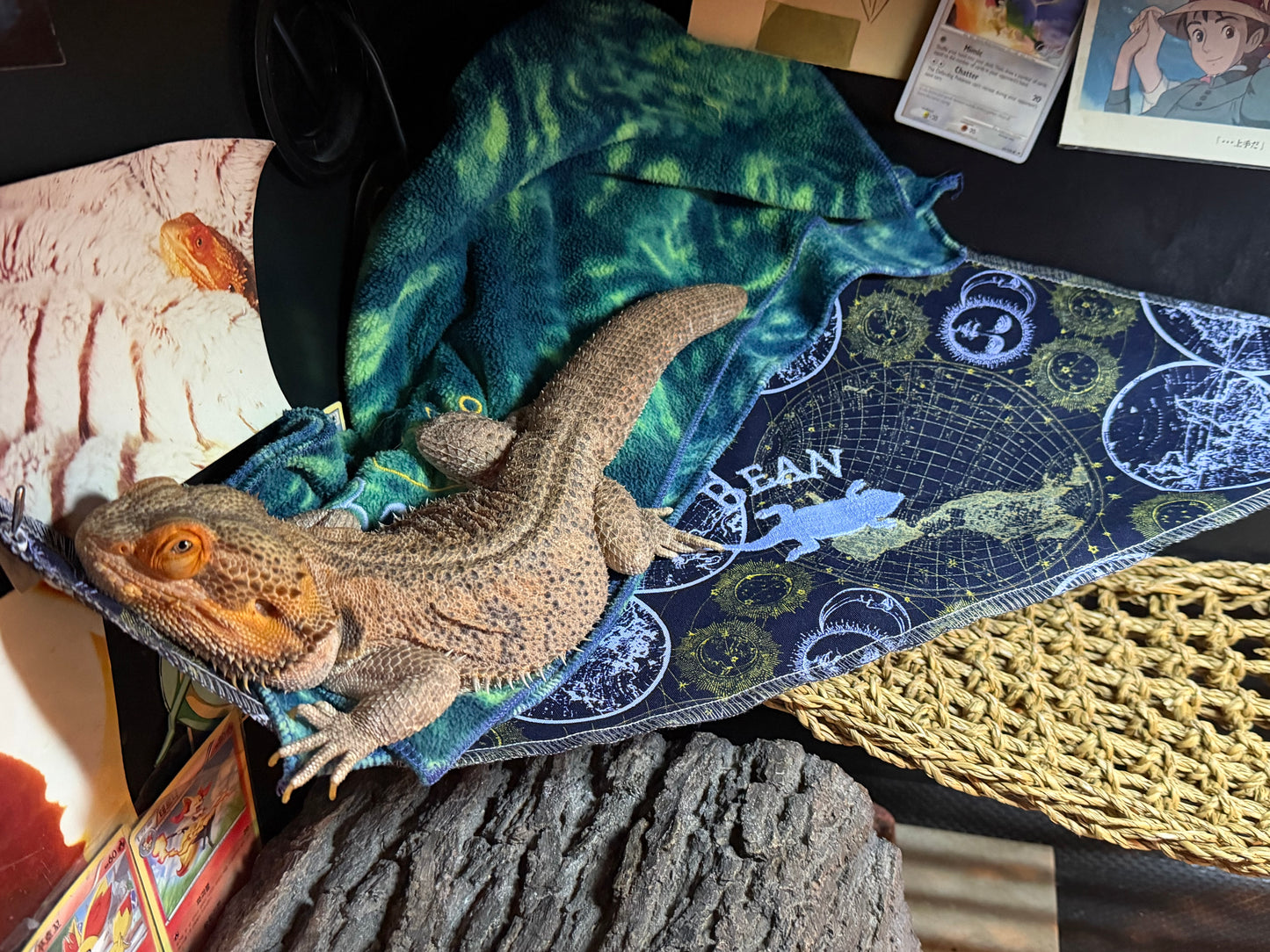 Hammocks